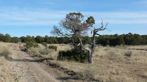 Property photo 33 - 7,320 Acres Offered in 5 Tracts